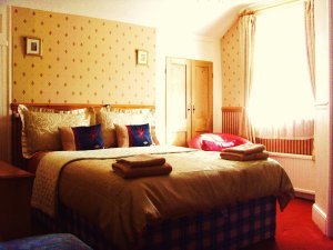 Hotel Photos