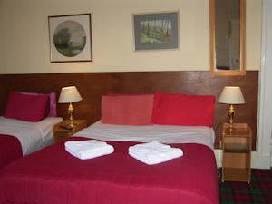 Hotel Photos