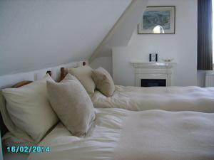 Hotel Photos