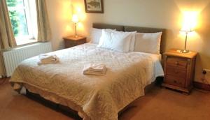 Hotel Photos