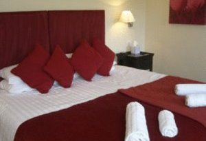 Hotel Photos