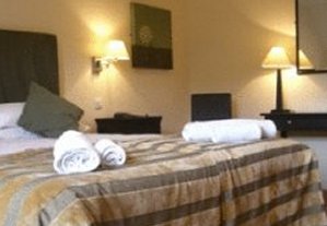 Hotel Photos