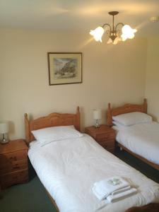 Hotel Photos