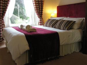 Hotel Photos