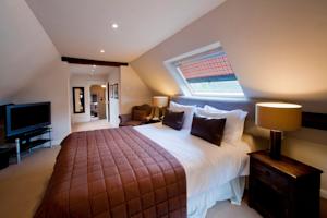 Hotel Photos