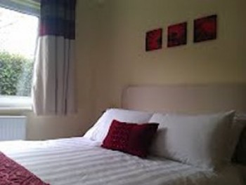 Hotel Photos