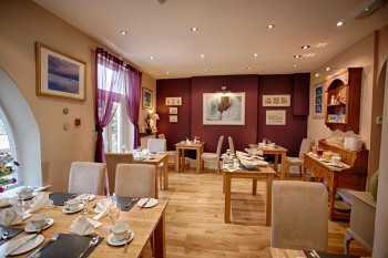 Hotel Photos