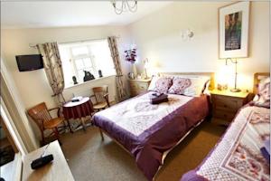 Hotel Photos