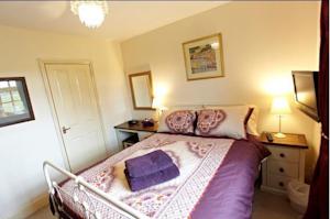 Hotel Photos