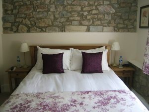 Hotel Photos