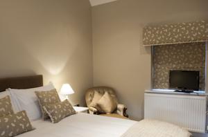 Hotel Photos