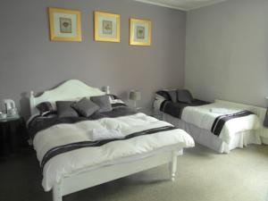 Hotel Photos