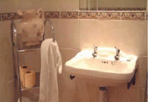 Hotel Photos