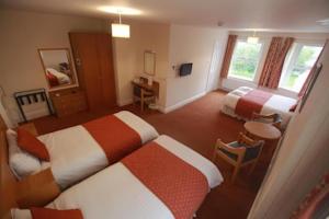 Hotel Photos