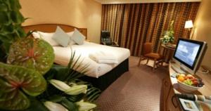 Hotel Photos