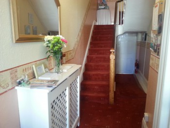 Hotel Photos