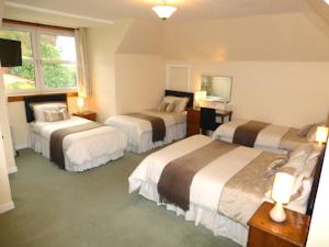 Hotel Photos
