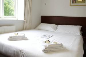Hotel Photos