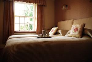 Hotel Photos