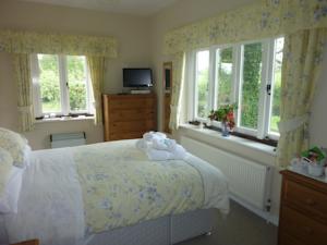 Hotel Photos