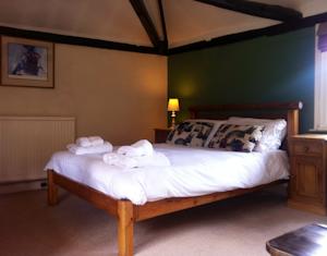 Hotel Photos