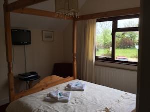 Hotel Photos