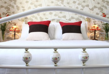 Hotel Photos