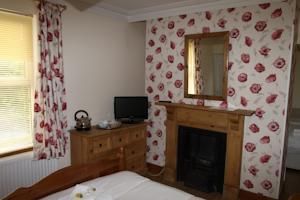 Hotel Photos