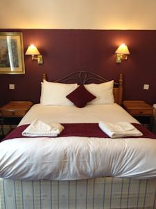 Hotel Photos