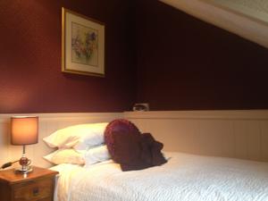Hotel Photos