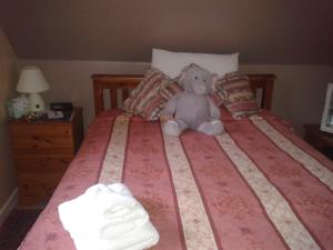 Hotel Photos