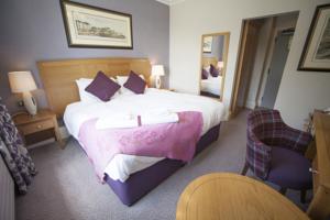 Hotel Photos