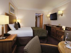 Hotel Photos