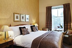 Hotel Photos