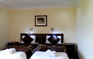 Hotel Photos