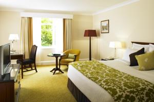 Hotel Photos