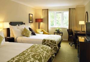 Hotel Photos