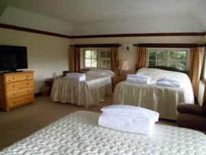 Hotel Photos