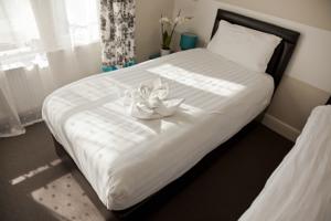 Hotel Photos