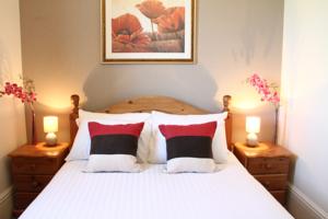 Hotel Photos
