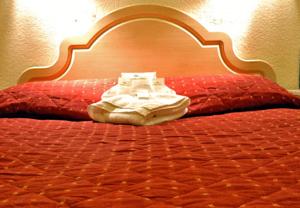 Hotel Photos