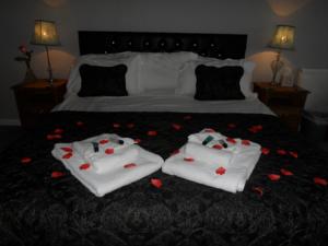 Hotel Photos