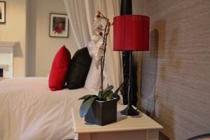 Hotel Photos
