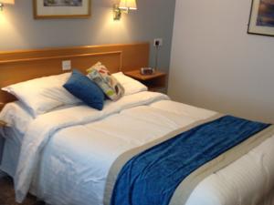 Hotel Photos