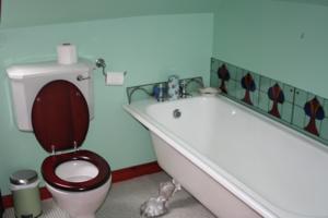 Hotel Photos