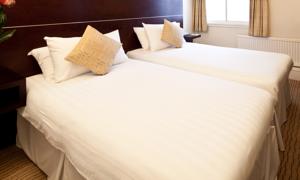 Hotel Photos