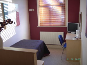 Hotel Photos