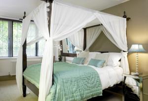 Hotel Photos