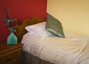 Hotel Photos