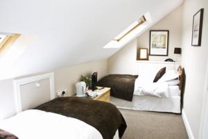 Hotel Photos